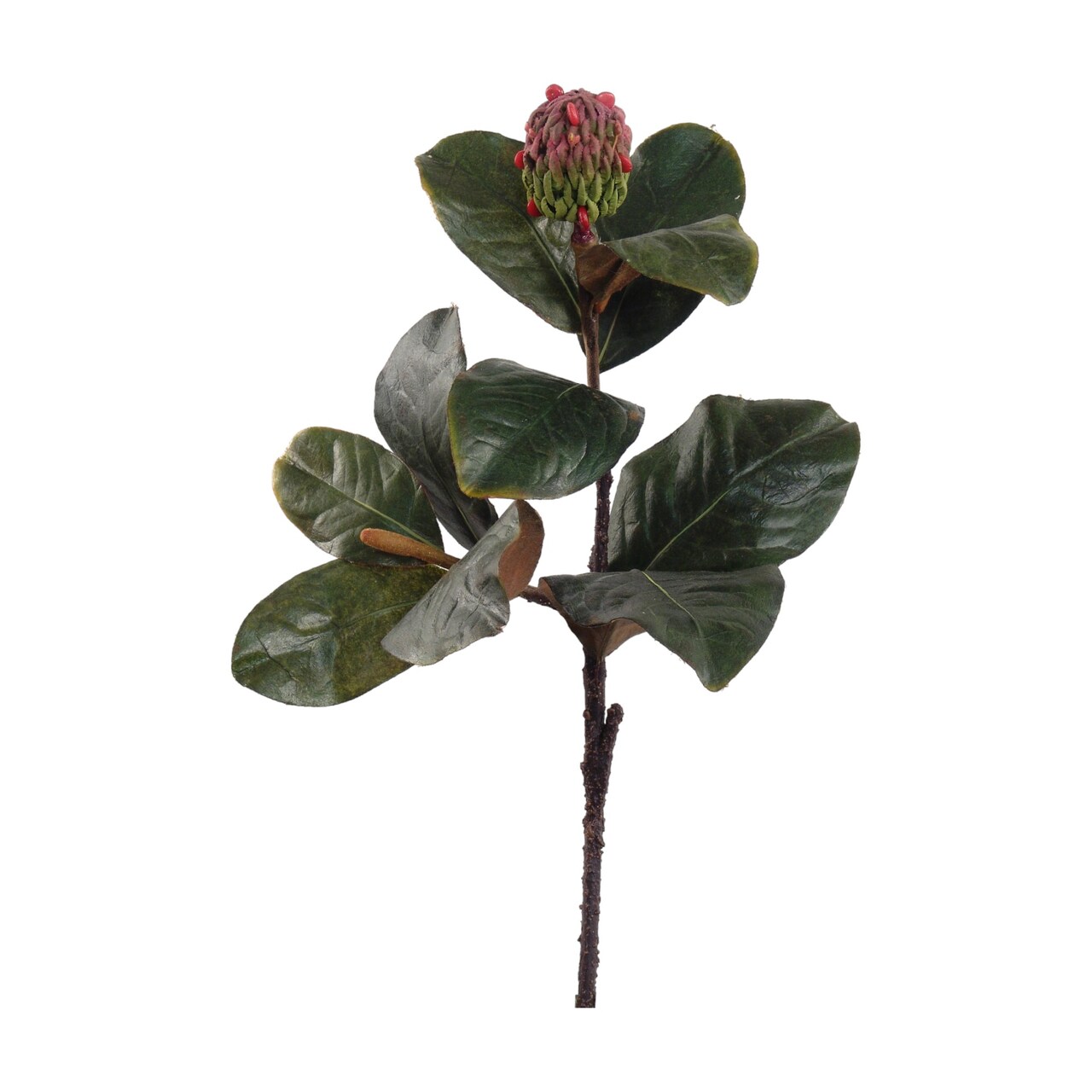 Real Touch Magnolia Leaf Pick with Seed Pod: Set of 12, 17-Inch by Floral Home&#xAE;